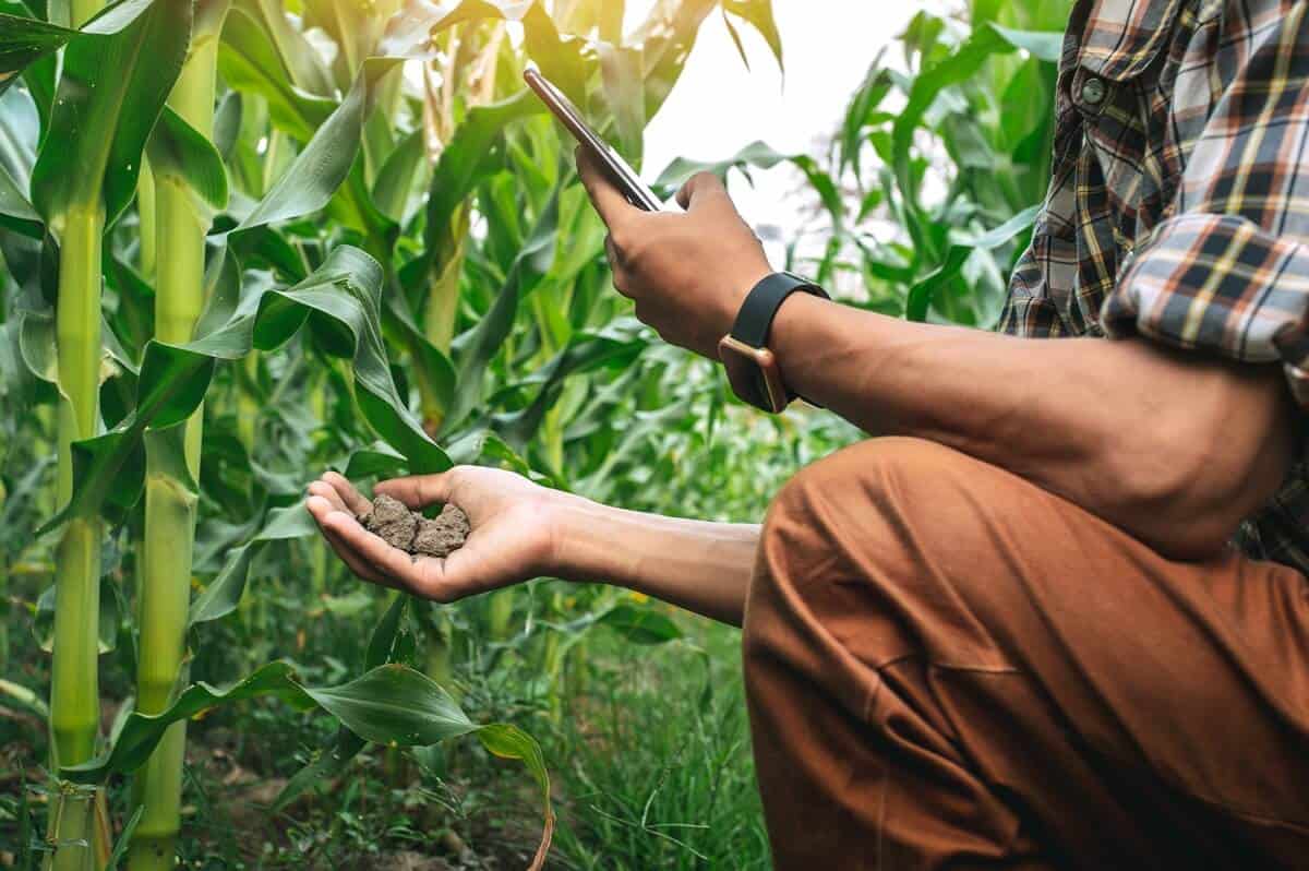 Future of Farming